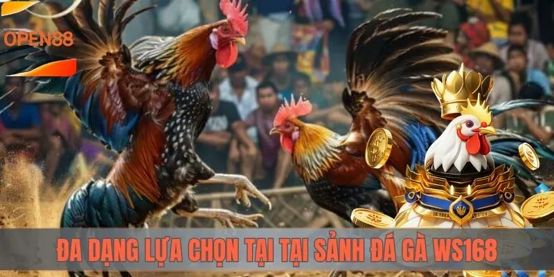 Đa dạng lựa chọn tại sảnh đá gà WS168