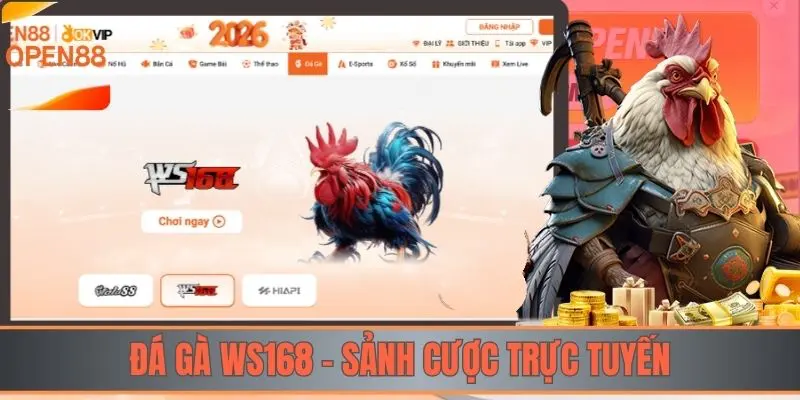 Đá gà WS168 - Sảnh cược trực tuyến tại OPEN88