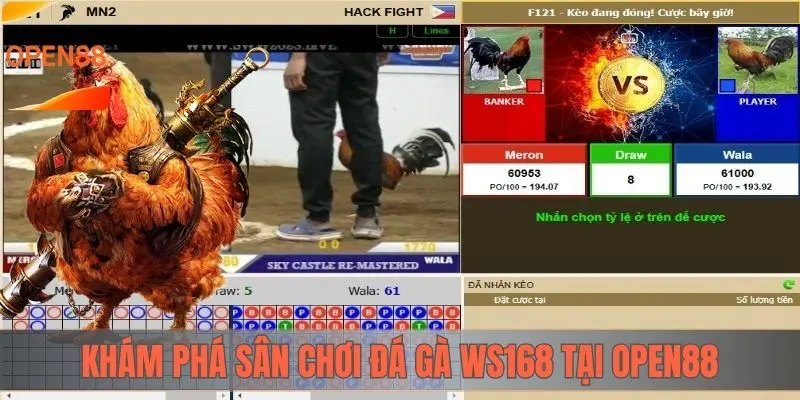 Khám phá sân chơi đá gà WS168 tại OPEN88